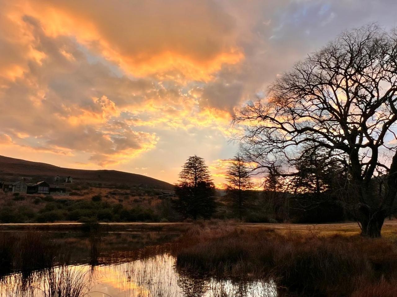 Stone Creek Mountain Lodge Dullstroom Buitenkant foto