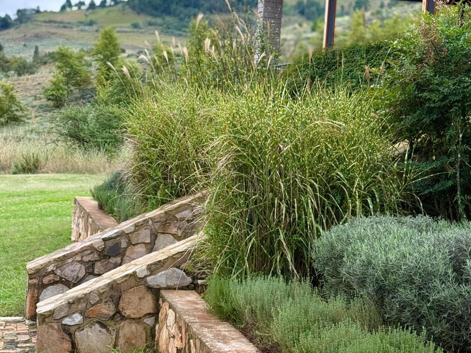 Stone Creek Mountain Lodge Dullstroom Buitenkant foto