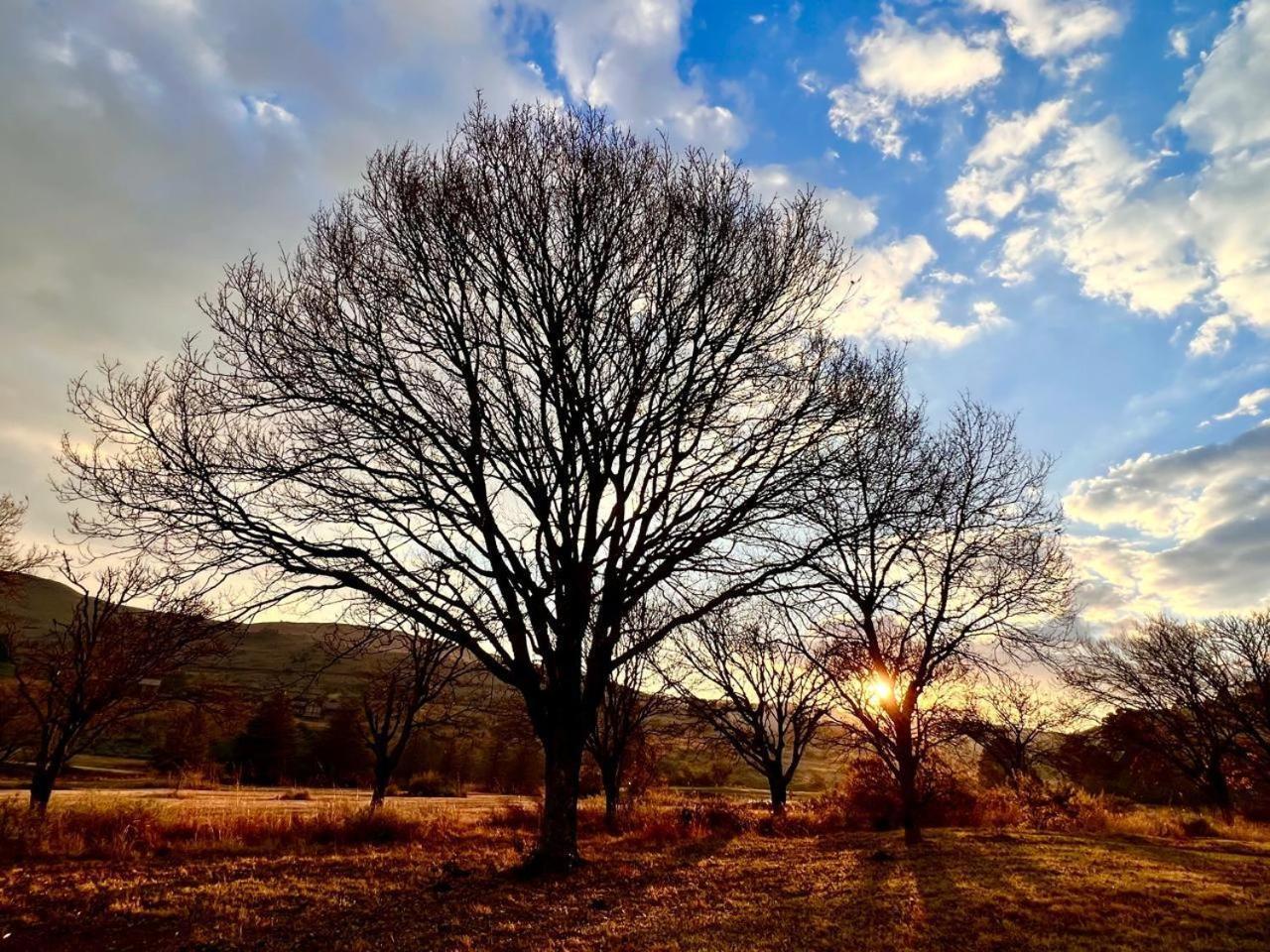 Stone Creek Mountain Lodge Dullstroom Buitenkant foto