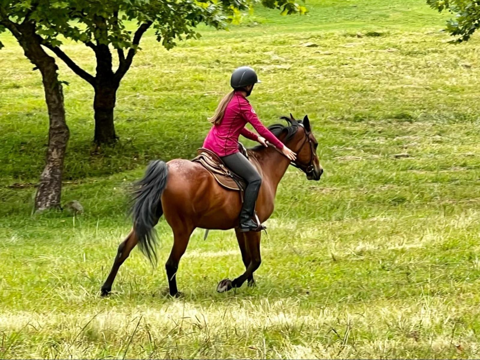 Stone Creek Mountain Lodge Dullstroom Buitenkant foto