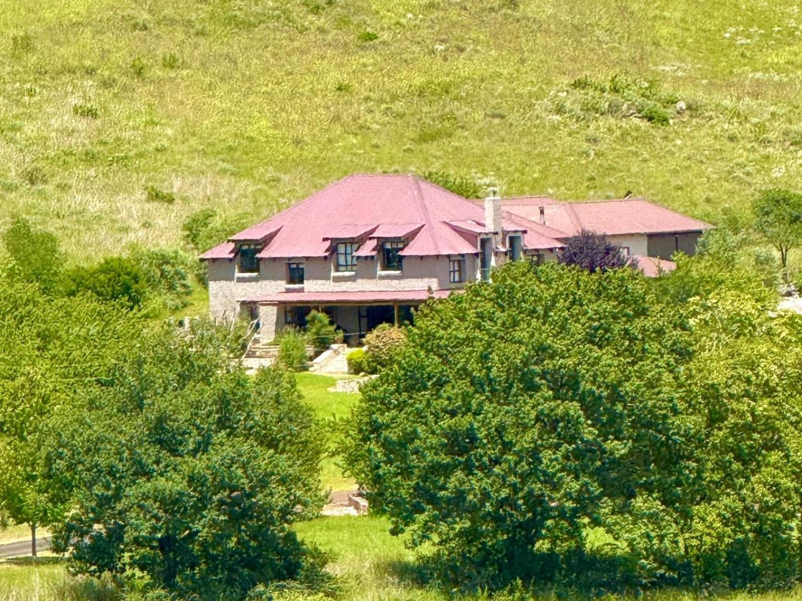Stone Creek Mountain Lodge Dullstroom Buitenkant foto